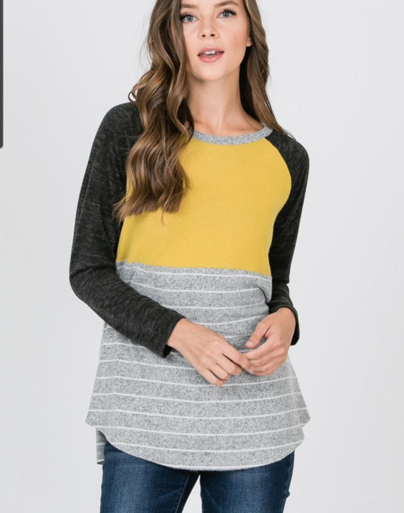 DOORBUSTER Mustard Round Neck Color Block Long Sleeve