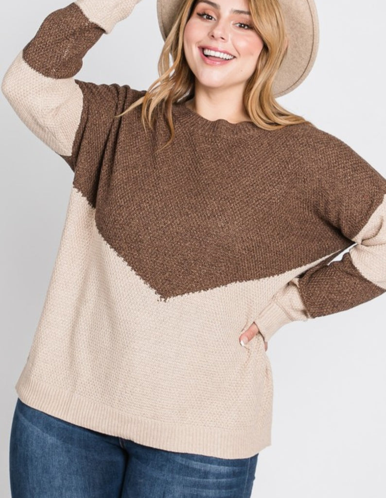 Curvy Mocha Color Block Long Sleeve